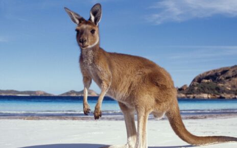 Kangaroo Island, South Australia