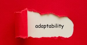 5. Adaptabilidad